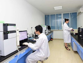 旬陽初 高中生學子及家長注意啦 西北地區(qū)全日制消防工程專業(yè),超高薪就業(yè)特招開始啦